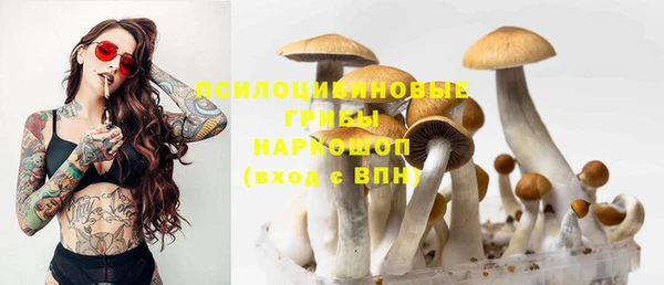 дживик Волоколамск