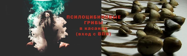 дживик Волоколамск